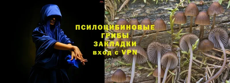 Псилоцибиновые грибы Magic Shrooms  купить наркоту  Кириши 